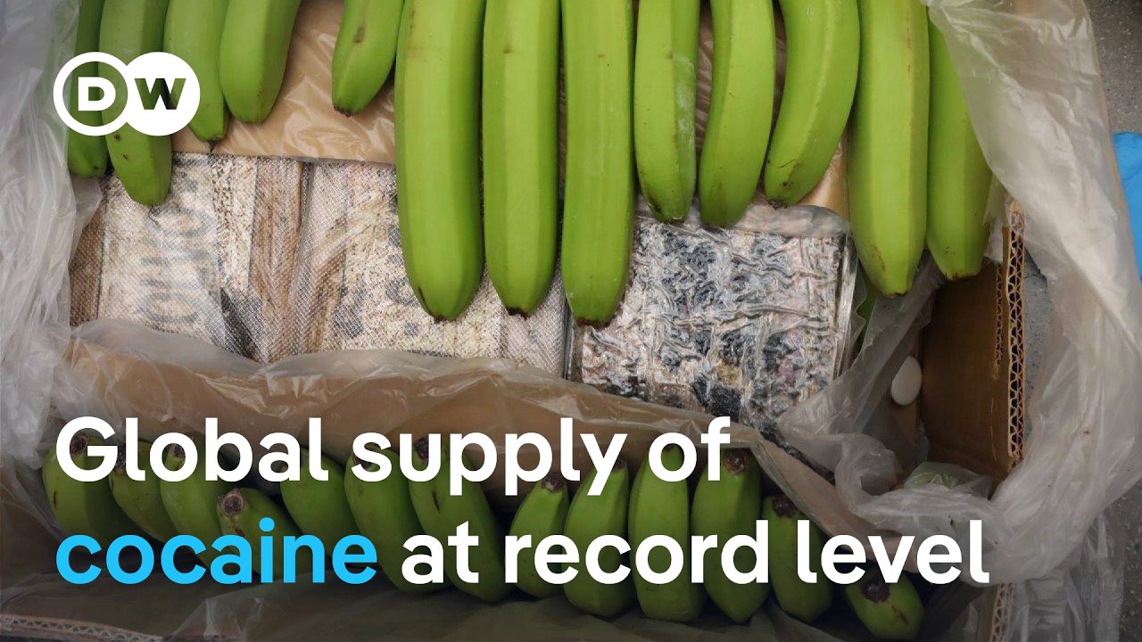 Europe sees a rise of narcotics shipments from Latin America | DW News