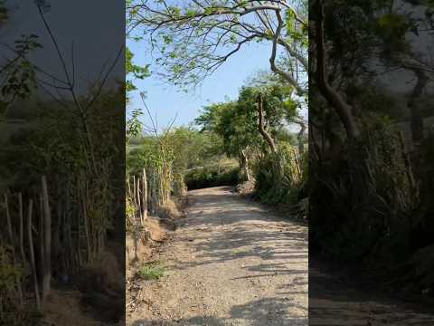 CASCADA LA PILONA 2/6: Camino de Tierra 🧭 Dirt Road Exploration