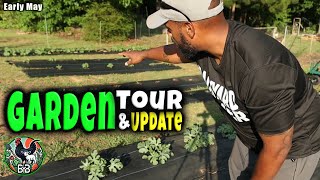 🌱 Early May Garden Tour & Update | Watermelon, Tomatoes, Peppers, Okra + New Additions!