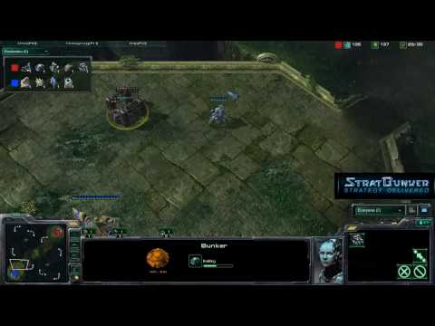 Starcraft 2 Analysis - PainUser (T) vs. Cruncher (P) Part 1/2