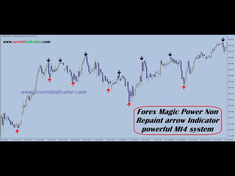 Forex account management services