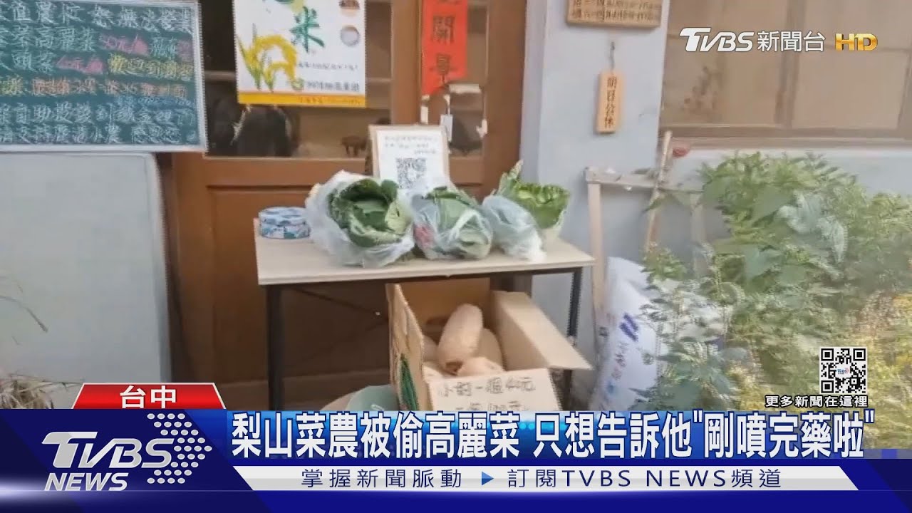 梨山菜農被偷高麗菜　只想告訴他「剛噴完藥啦」