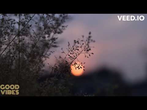 Deeleegenz - Every Single Day (Max Telaer Remix)