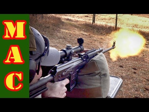 Zastava M91 DMR rifle - Is it worth $3000?
