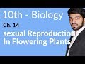 10th Class Biology Sexual Reproduction In Flowering Plant Biology Chapter 14 Biology 10th Class