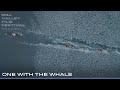 MVFF46 - ONE WITH THE WHALE - Official Trailer