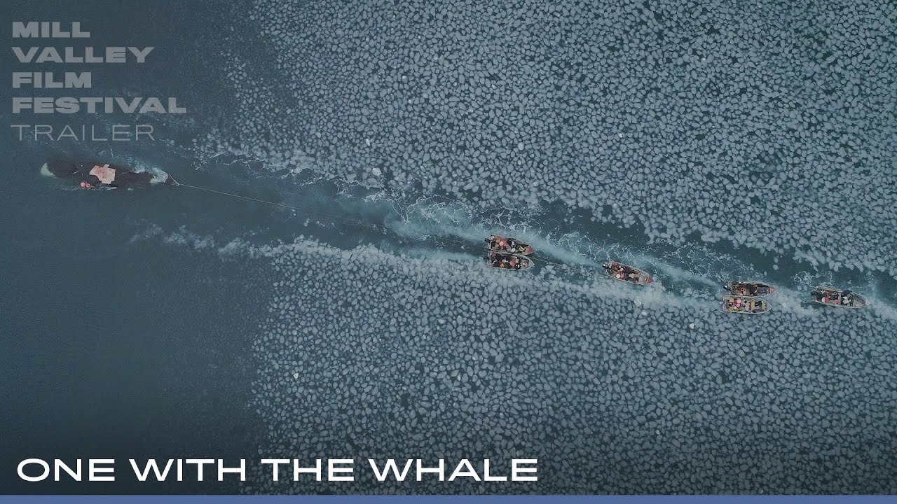 One with the Whale