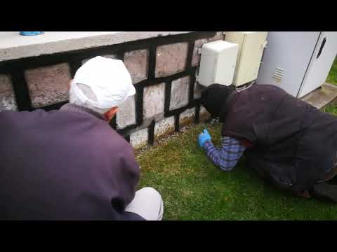 Taş duvar derz boyama