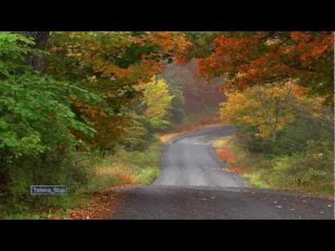 Si totusi,vine toamna... - Tatiana Stepa si Adrian Paunescu @TatianaPoezie