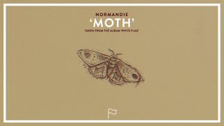 Moth Music Video
