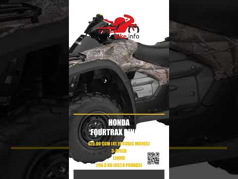 Honda FourTrax Rincon - Video 1