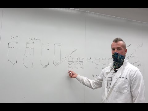 Silica Nanoparticles Day 1 Nano 120A