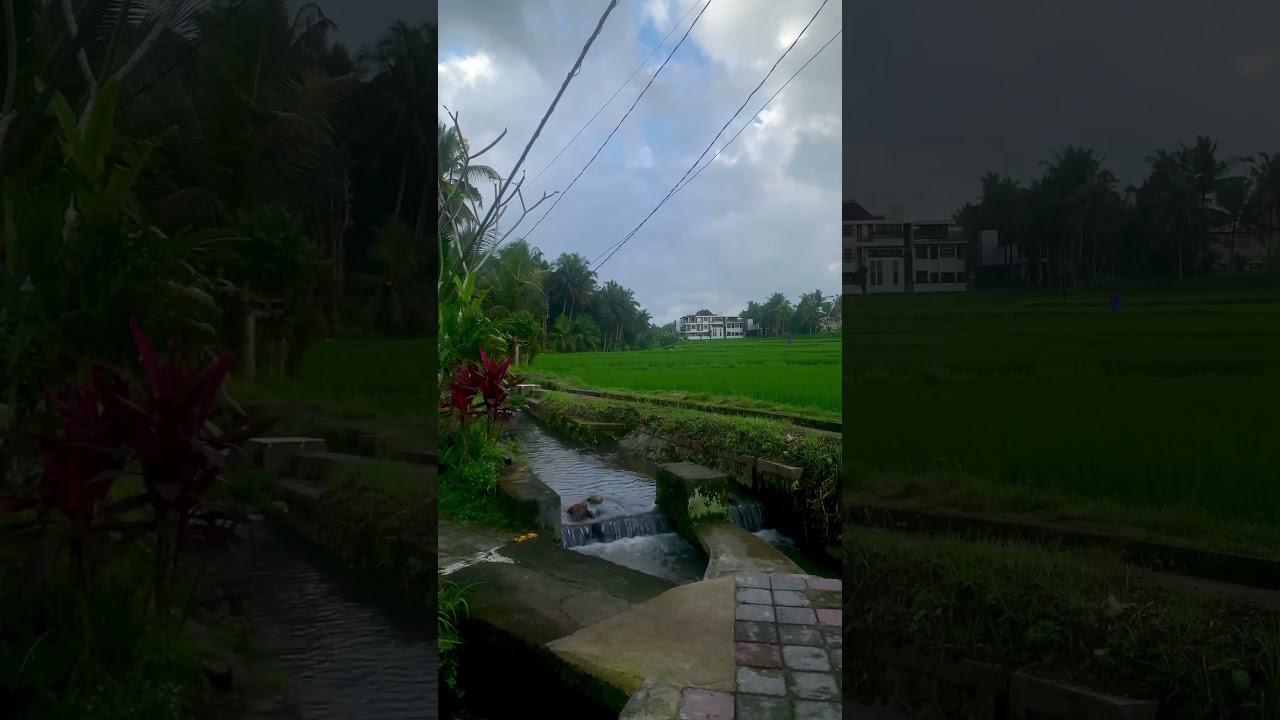 YouTube Short thumbnail