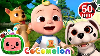 Puppy Play Date - If you're puppies | Cocomelon | Kids Cartoons & Nursery Rhymes | Moonbug Kids
