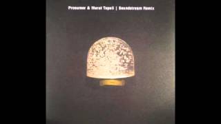 Prosumer & Murat Tepeli - Serenity (Soundstream's Dusty Machine Mix) [Ostgut Ton, 2008]