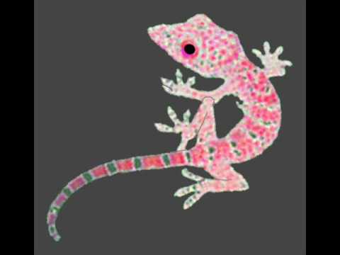 A1 - Pink Lizard Studios information
