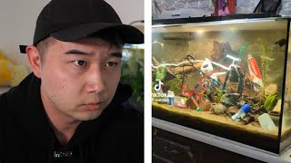 a REALISTIC aquascape of nature nowadays | Fish Tank Review 307