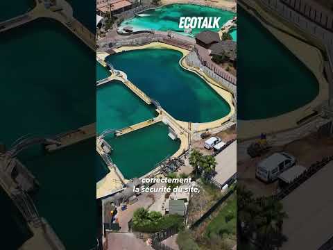 Ils s’introduisent en pleine nuit à Marineland !