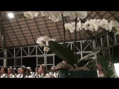 A MINHA MÃE É A SANTA VIRGEM - F.D.J. - N. S. DA CONCEIÇÃO 15