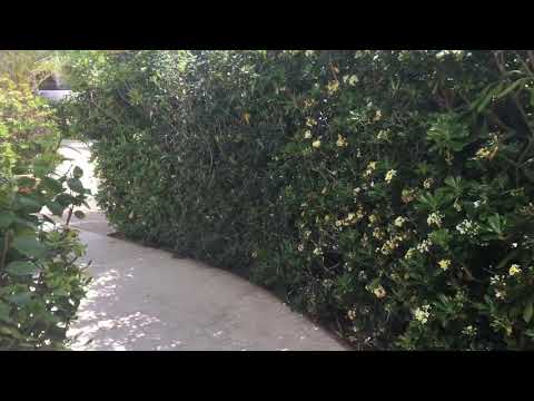 Sentido Aziza Beach Golf & Spa Hammamet