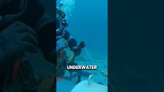 Download lagu Risks of Undersea Welder Work ‼️ mp3 Download lagu Risks of Undersea Welder Work ‼️ mp3