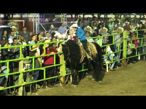 El Chapo De Sinaloa Besa  a Una Señora Del Publico