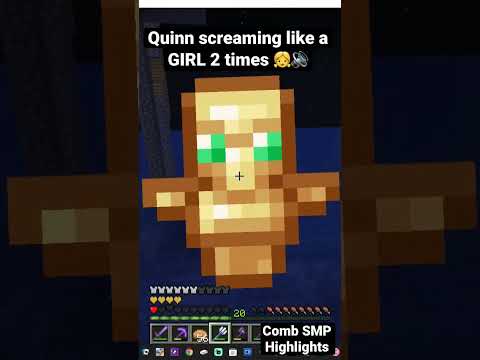 EPIC REACTION: Quinn's Insane Screaming in Minecraft