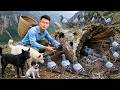 Rescuing Giant Wild Pigeons Goes To Market To Sell Countryside Kitchen Young CEO With Tom Lu