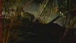 tiro de gracia - chupacabras