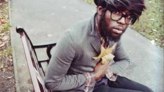 Lightspeed Champion - I wish I was a camel