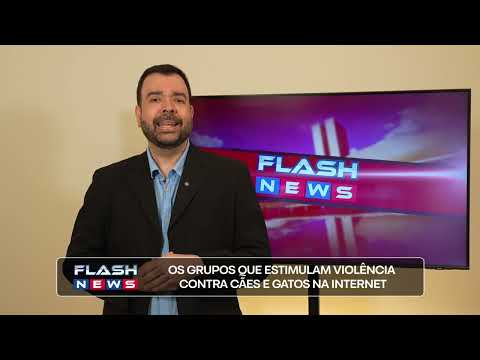 Internet sem vigilância: crimes chocantes contra animais nas madrugadas | Flash News |  Bem+TV