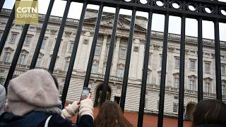 La policía británica arresta al hermano de Carlos III de Inglaterra por sus vínculos con Epstein