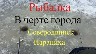 Летняя рыбалка в северодвинске