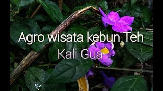 preview picture of video 'Trip to Kali Gua'