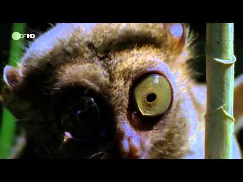 TerraX Faszination Erde   Philippinen Reportage über die Philippinen Teil 1