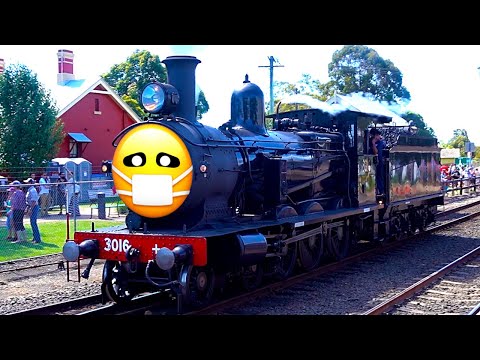 NSW Rail Museum Festival Of Steam 2016 Before The Bushfires & Virus Stopped Everything