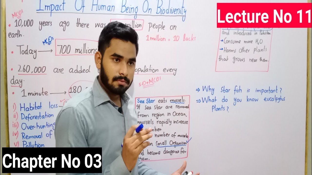 Impact Of Human Being on Biodiversity