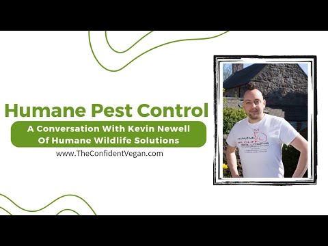 Humane Pest Control-Interview With Kevin Newell Of Humane Wildlife Solutions