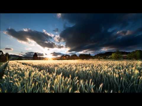 Preijers & Hercules - After '87 (A.M.R Remix)