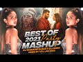 Best Of 2021 Party Mashup | DJ Shadow Dubai x DJ Ansh | VDj Jakaria | Best Hit Song