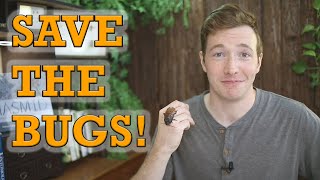 SAVE THE BUGS! How YOU (yes you) Can Be an Insect Conservation Hero! Buggin' Ep.7