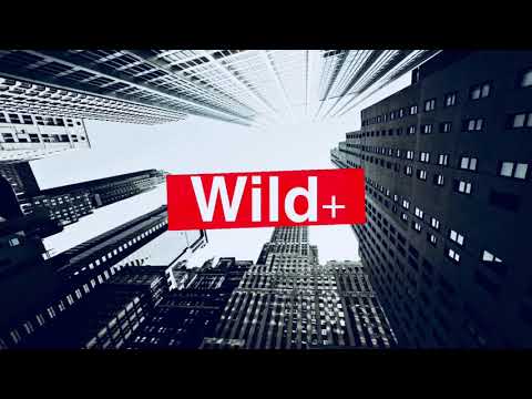 wild+ :: "Parkhai" MV (CLEAN)