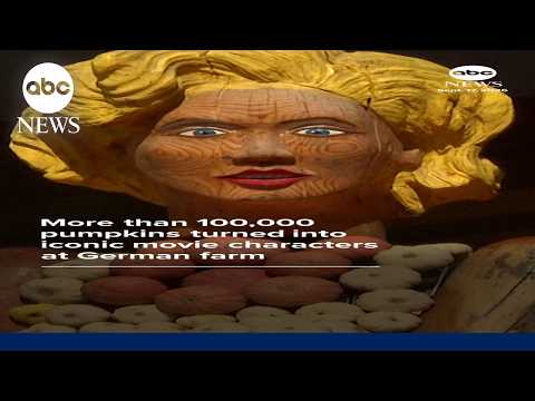 More than 100,000 pumpkins turned into iconic movie characters at German farm