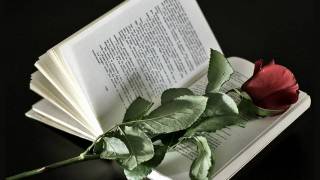 Arrancame...................&quot; Pesado&quot;