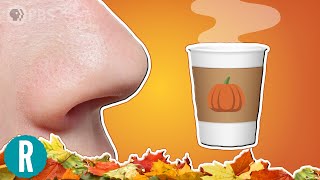 Why Do We Love The Smell of Fall? (feat. @PBS Eons @Alex Dainis )