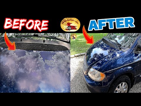 How To  Repair PEELING Clear Coat For Under $35 Bucks......  Blue Bomber Hood Fix