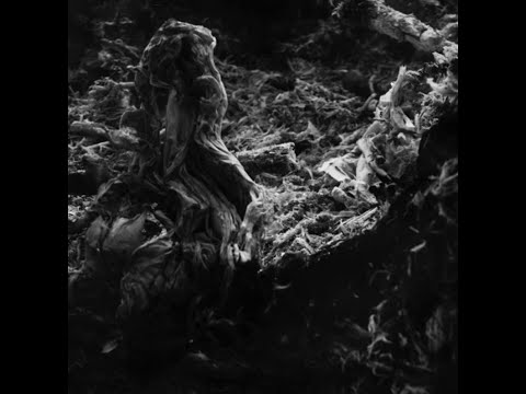 MNMT Premiere - Blazej Malinowski - Unpredictability