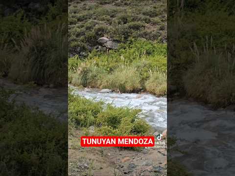 Disfrutando Tunuyan Mendoza con tarde lluviosa #tunuyan #Mendoza #lluvia #viral