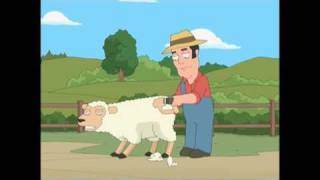 GAY HORNY SHEEP uncensored...