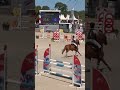 Ruin Franse rijpony PFS Te koop 2015 Vos